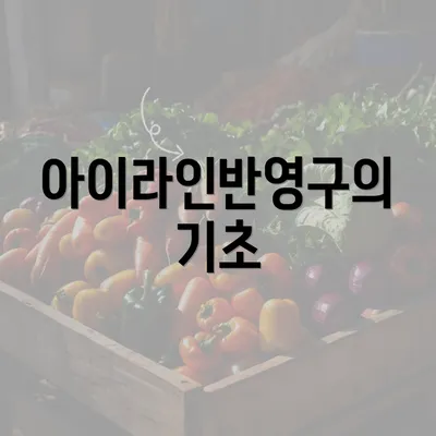 아이라인반영구의 기초