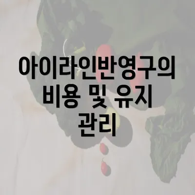 아이라인반영구의 비용 및 유지 관리