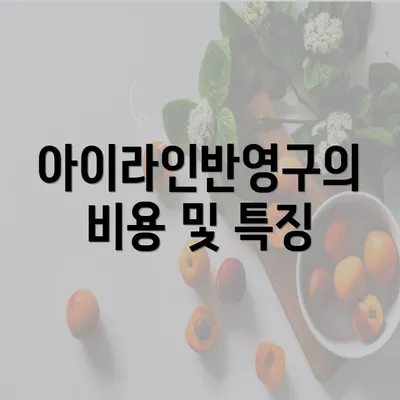 아이라인반영구의 비용 및 특징