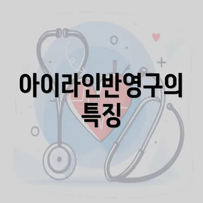 아이라인반영구의 특징