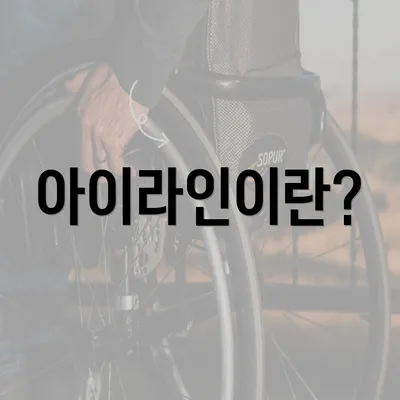 아이라인이란?