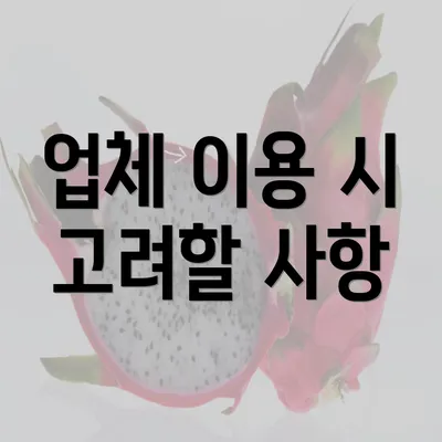 업체 이용 시 고려할 사항