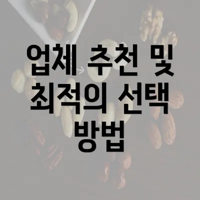 업체 추천 및 최적의 선택 방법