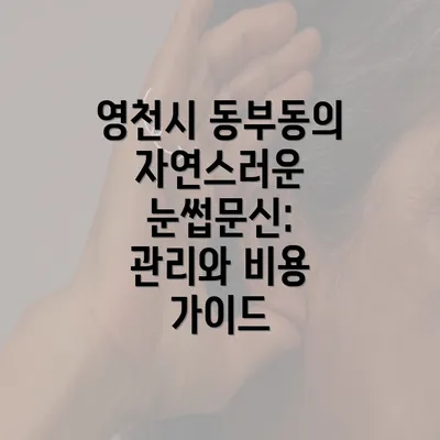 영천시 동부동의 자연스러운 눈썹문신: 관리와 비용 가이드