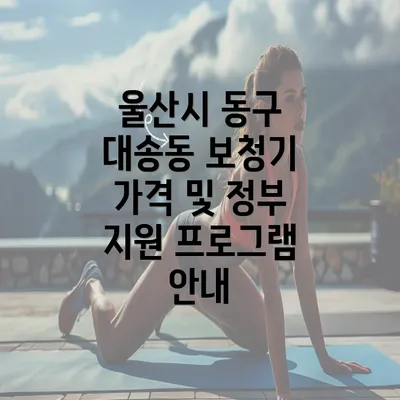 울산시 동구 대송동 보청기 가격 및 정부 지원 프로그램 안내