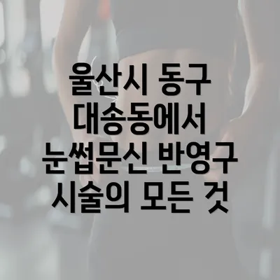 울산시 동구 대송동에서 눈썹문신 반영구 시술의 모든 것