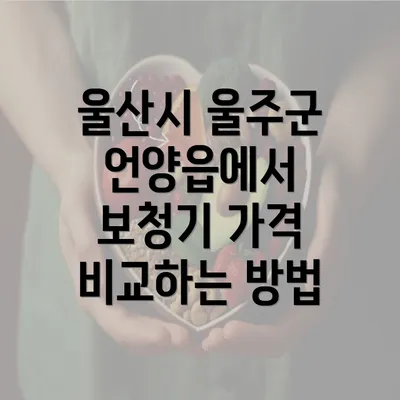 울산시 울주군 언양읍에서 보청기 가격 비교하는 방법