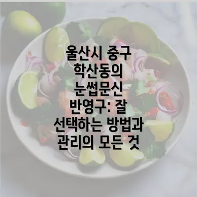 울산시 중구 학산동의 눈썹문신 반영구: 잘 선택하는 방법과 관리의 모든 것