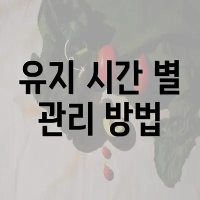 유지 시간 별 관리 방법