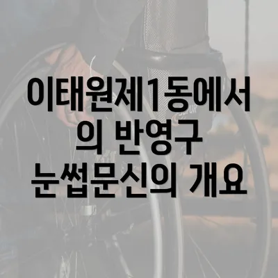 이태원제1동에서의 반영구 눈썹문신의 개요