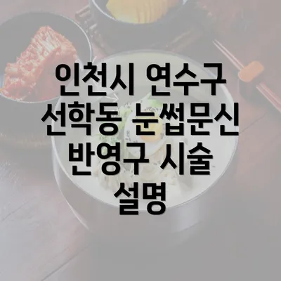 인천시 연수구 선학동 눈썹문신 반영구 시술 설명