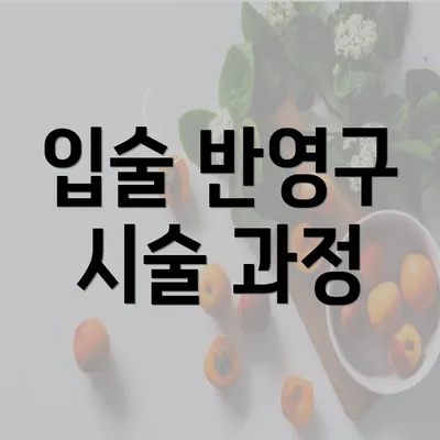 입술 반영구 시술 과정