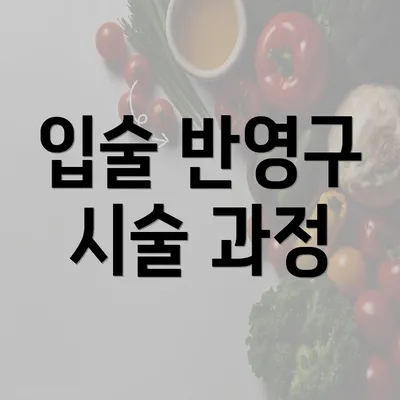 입술 반영구 시술 과정