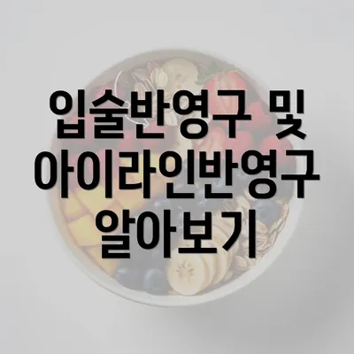 입술반영구 및 아이라인반영구 알아보기