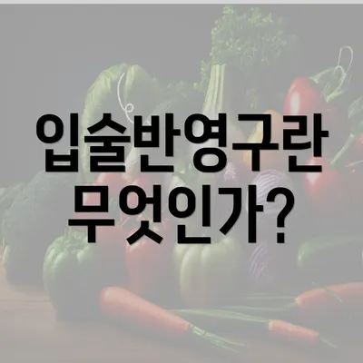 입술반영구란 무엇인가?