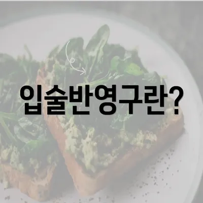 입술반영구란?