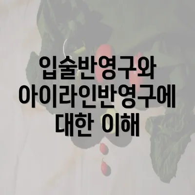 입술반영구와 아이라인반영구에 대한 이해