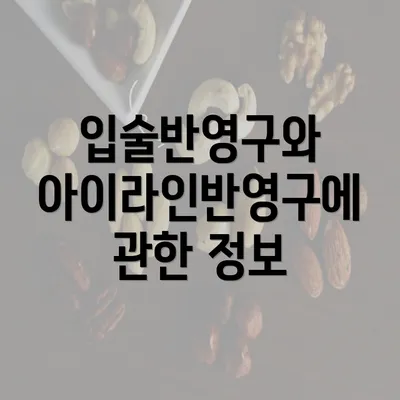 입술반영구와 아이라인반영구에 관한 정보