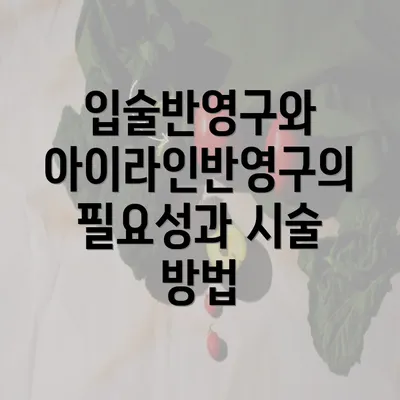 입술반영구와 아이라인반영구의 필요성과 시술 방법