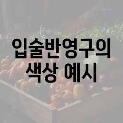 입술반영구의 색상 예시