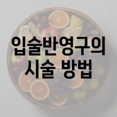 입술반영구의 시술 방법