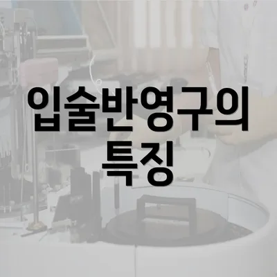 입술반영구의 특징