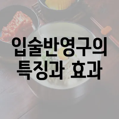 입술반영구의 특징과 효과