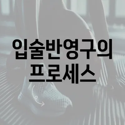 입술반영구의 프로세스