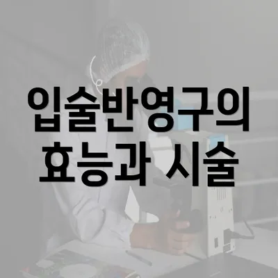 입술반영구의 효능과 시술