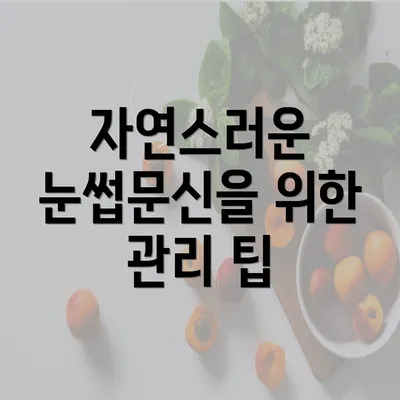 자연스러운 눈썹문신을 위한 관리 팁