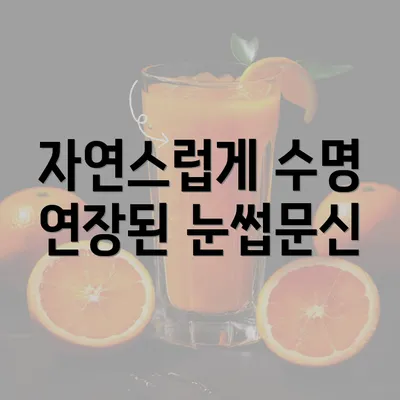 자연스럽게 수명 연장된 눈썹문신