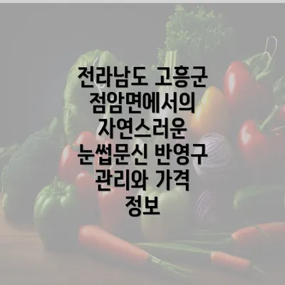 전라남도 고흥군 점암면에서의 자연스러운 눈썹문신 반영구 관리와 가격 정보