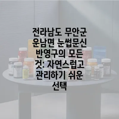 전라남도 무안군 운남면 눈썹문신 반영구의 모든 것: 자연스럽고 관리하기 쉬운 선택