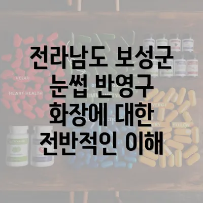 전라남도 보성군 눈썹 반영구 화장에 대한 전반적인 이해