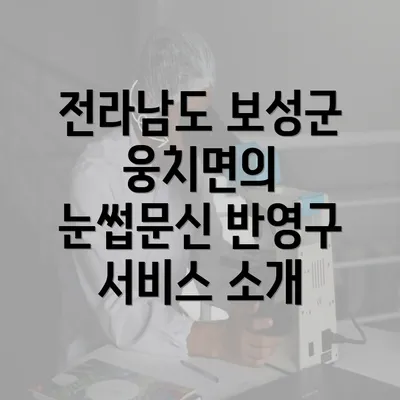 전라남도 보성군 웅치면의 눈썹문신 반영구 서비스 소개