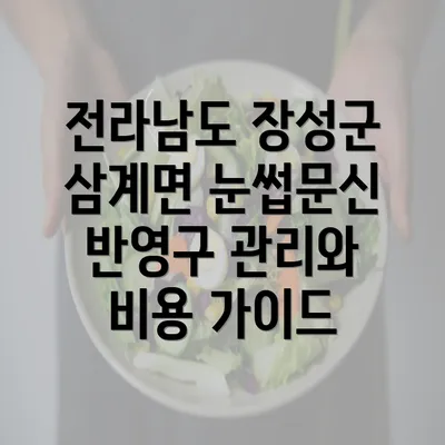 전라남도 장성군 삼계면 눈썹문신 반영구 관리와 비용 가이드