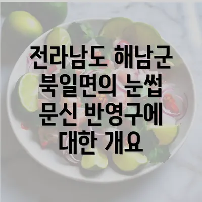 전라남도 해남군 북일면의 눈썹 문신 반영구에 대한 개요