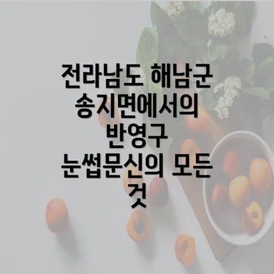 전라남도 해남군 송지면에서의 반영구 눈썹문신의 모든 것