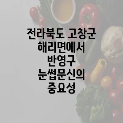 전라북도 고창군 해리면에서 반영구 눈썹문신의 중요성