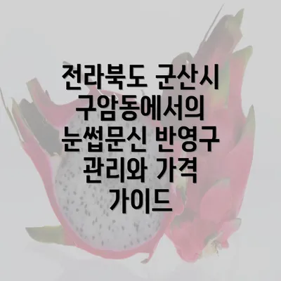 전라북도 군산시 구암동에서의 눈썹문신 반영구 관리와 가격 가이드