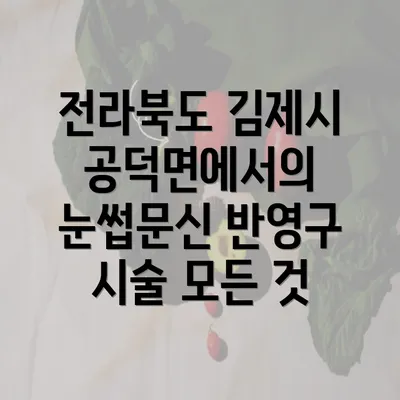 전라북도 김제시 공덕면에서의 눈썹문신 반영구 시술 모든 것