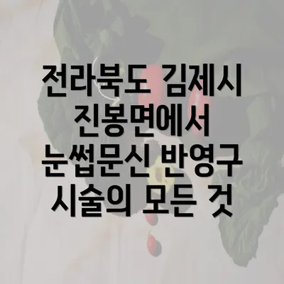 전라북도 김제시 진봉면에서 눈썹문신 반영구 시술의 모든 것