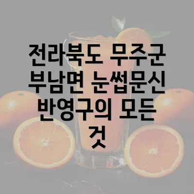 전라북도 무주군 부남면 눈썹문신 반영구의 모든 것