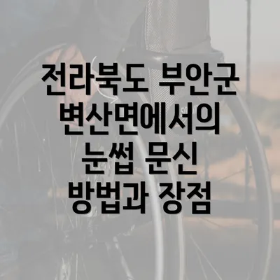 전라북도 부안군 변산면에서의 눈썹 문신 방법과 장점