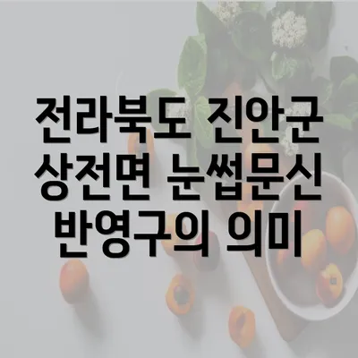 전라북도 진안군 상전면 눈썹문신 반영구: 남녀를 위한 자연스러운 관리와 비용 안내