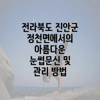 전라북도 진안군 정천면에서의 아름다운 눈썹문신 및 관리 방법