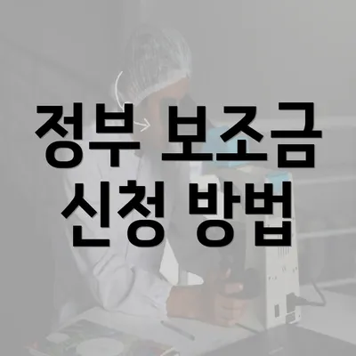 정부 보조금 신청 방법