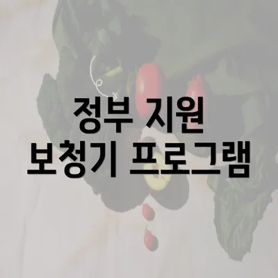 정부 지원 보청기 프로그램