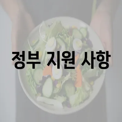 정부 지원 사항