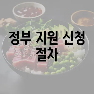 정부 지원 신청 절차